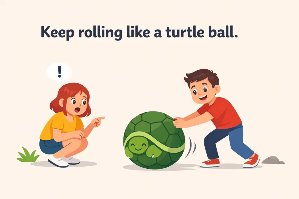 Turtle Puns For Students